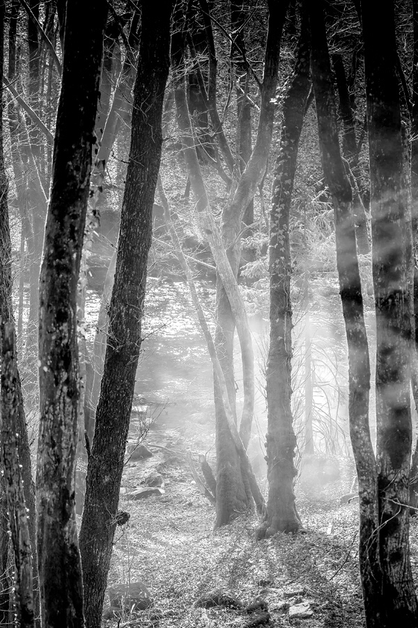 La nature en Belgique