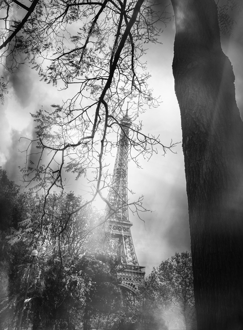 Paris, Tour Eiffel - photo contemporaine 