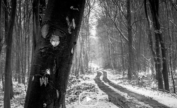 Photographie de la nature Belgique